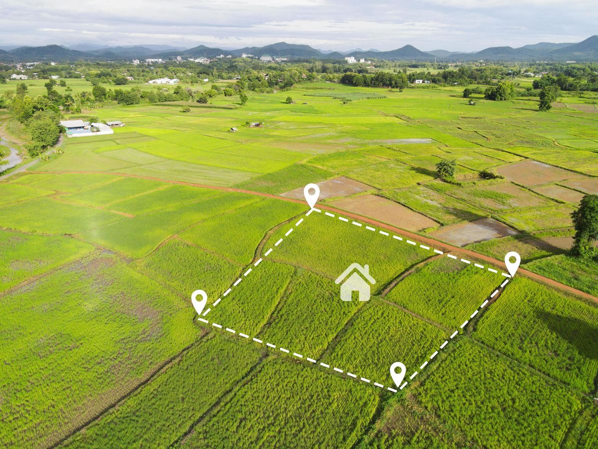 Land Titling & Management